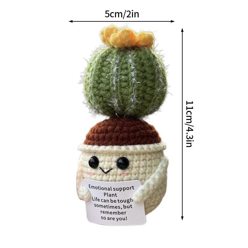 Cactus positif