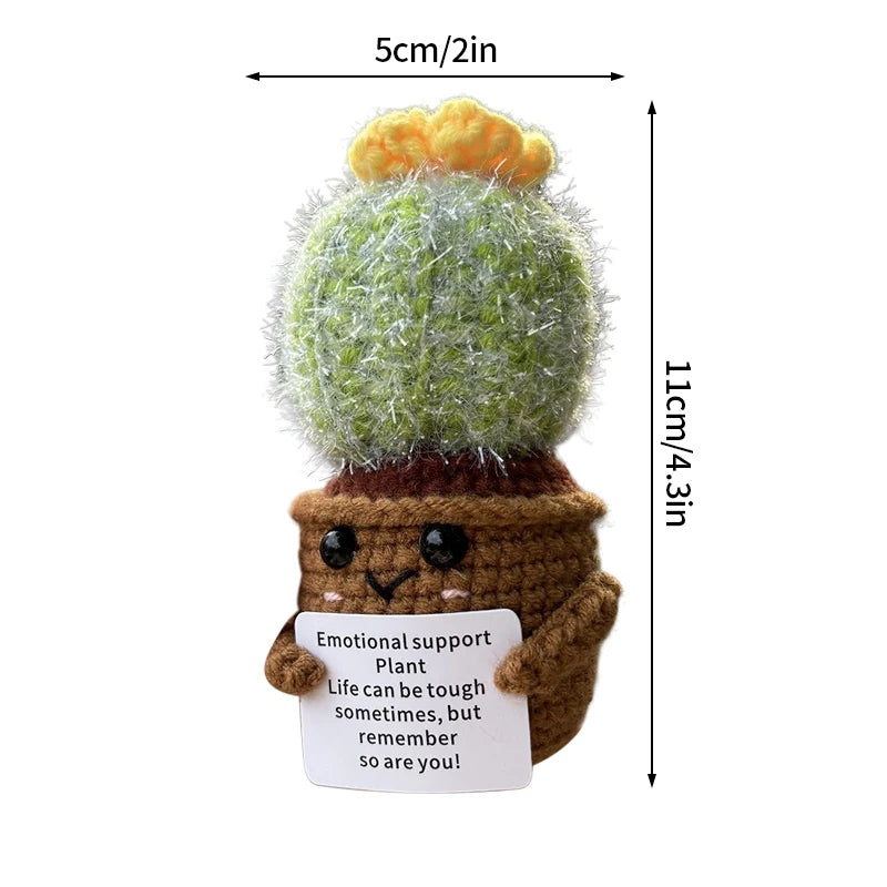 Cactus positif