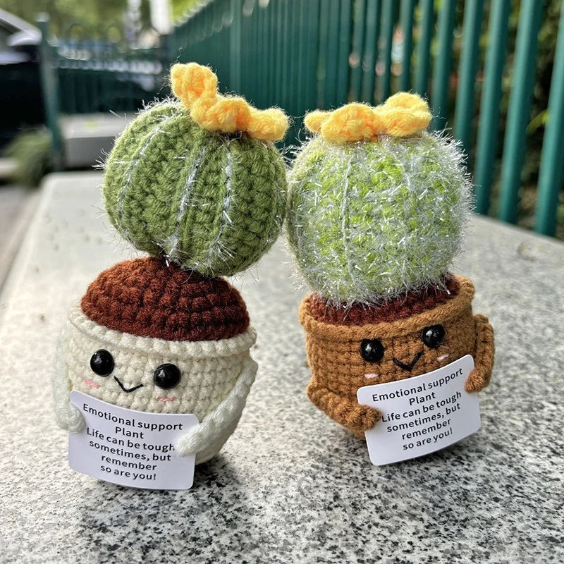Cactus positif