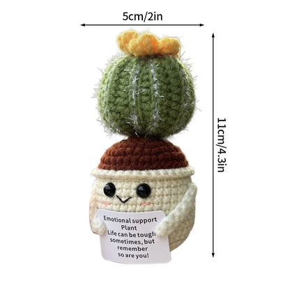Cactus positif